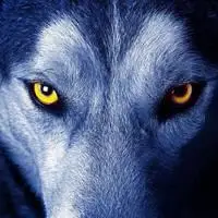 形容眼神很凶的头像图片点击鼠标右键下载