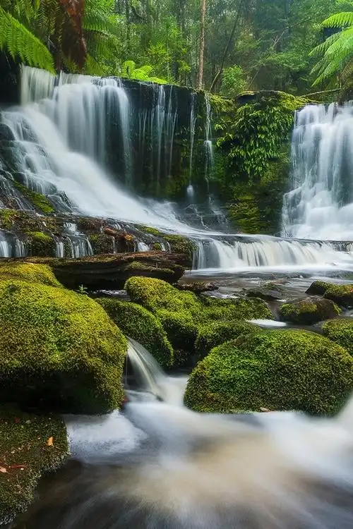 马蹄瀑布,溪,植物,青苔
