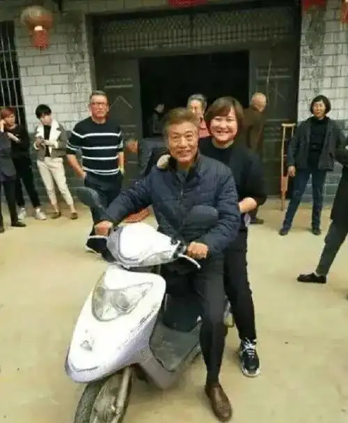 明星回村过年图砍树那个要笑死了网友他们这么土我放心了