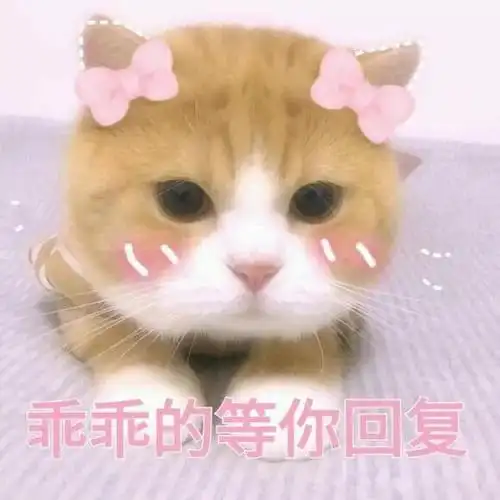 萌宠gif猫星人gif乖乖的等你回复gif爱你gif呆萌gif可爱gif