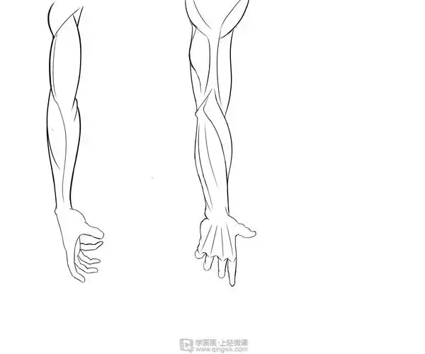 作业:如何学动漫插画之手臂的画法与训练技巧 - 漆黑の莫莫sama