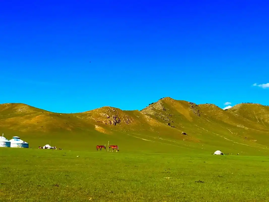 一起享受大自然的美 #内蒙古风景 #牧区生活 #家乡的风景 - 抖音