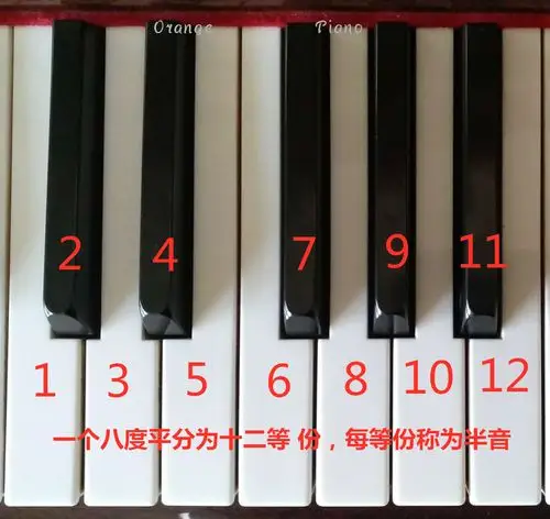 零基础成人简谱钢琴之认识钢琴键盘,几分钟就可以熟知就这么简单