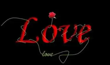 花藤字生成器,一款帮助大家快速生成想要的花藤缠绕字体的手机工具