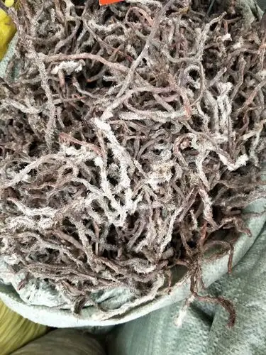 中药材白毛蛇阴石蕨白毛骨碎补每件500克