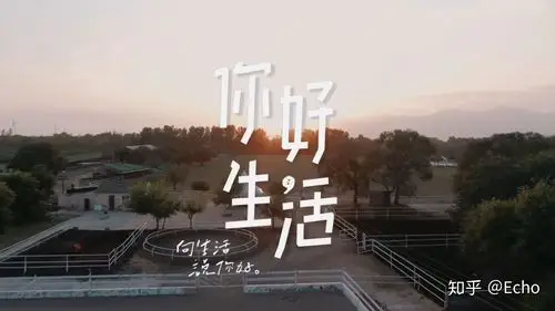 你好生活不仅仅是个节目