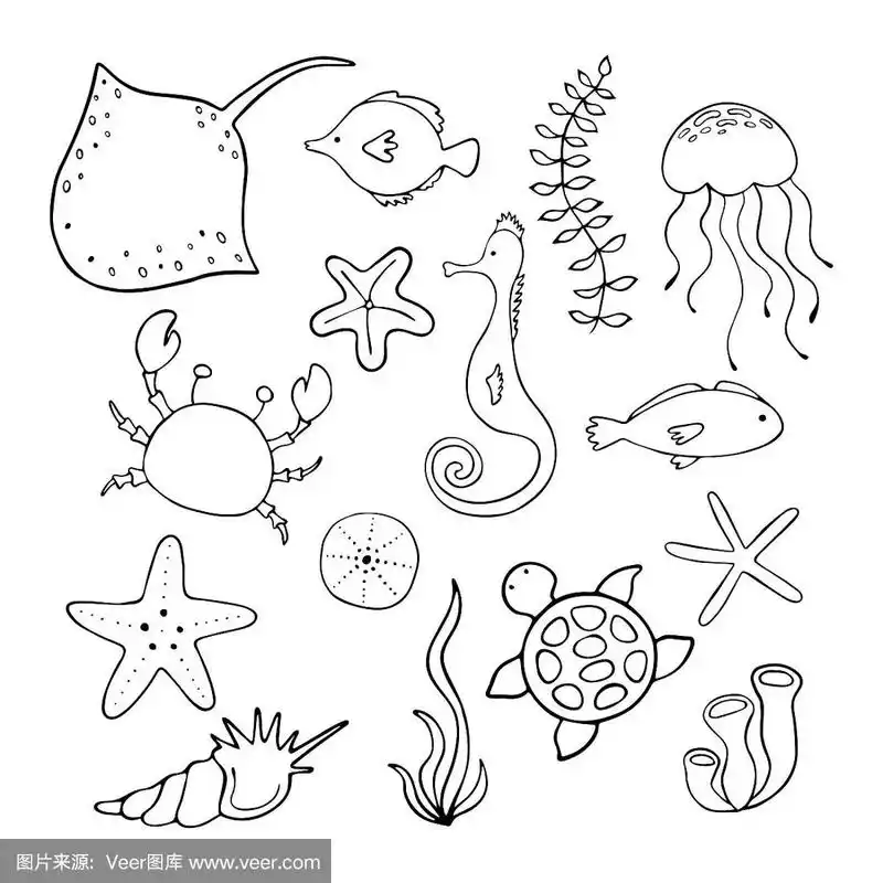一组白色背景上的卡通海洋动物.