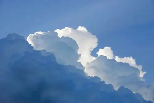 这是原图赞大耳朵图图2021-01-20 02:44:09太好看啦!