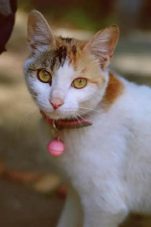 为什么要删我照片儿?why