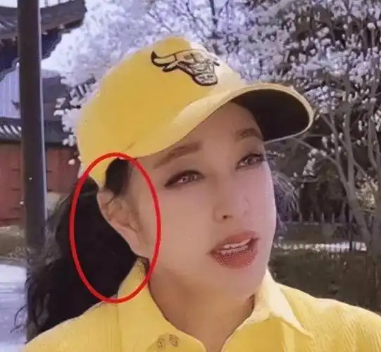 刘晓庆颜值巅峰之作一代妖后(刘晓庆拉皮多次耳粘脸)(20)