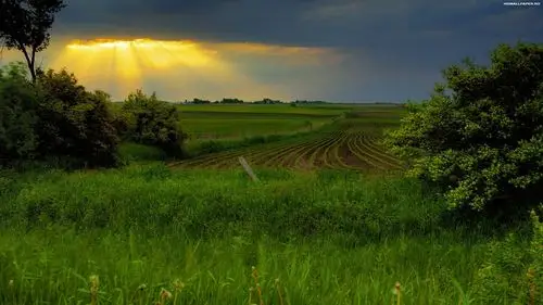 高清保护眼睛风景壁纸(3)-qq壁纸网
