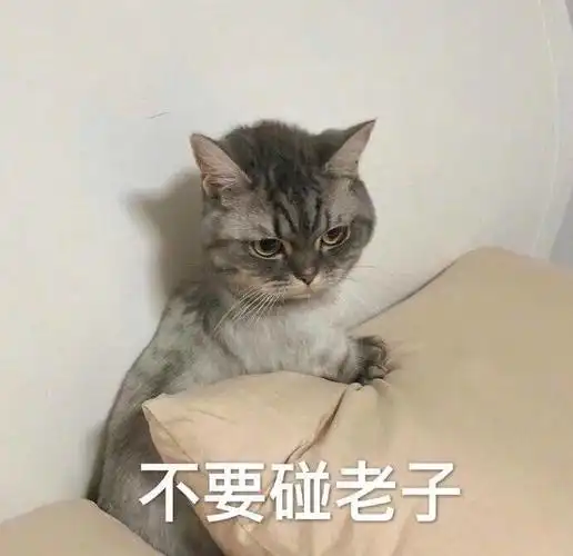 身边总有几个这样的朋友表情包 - 表情图