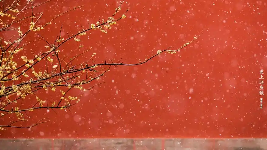 故宫61雪 - 堆糖,美图壁纸兴趣社区