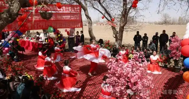 叶城县举办杏福花开有杏相遇杏花节系列活动