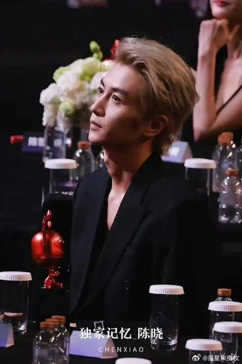 不得不说,陈晓不仅靠发型和妆造,更是凭借他那硬气的帅气,成