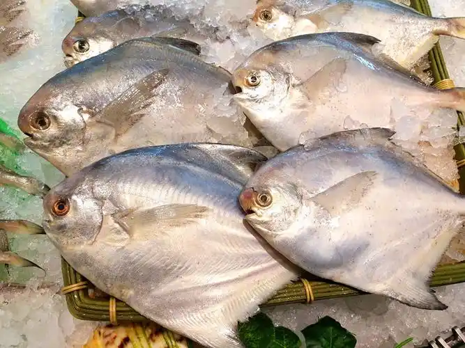 海鲜,海产品,海货