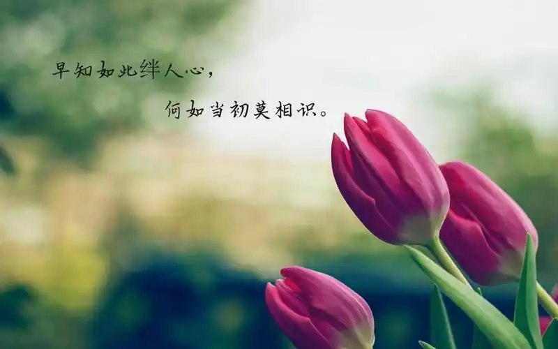 伤感 内容简介 一句话让人心凉透的说说图片:心凉了,挽回的却只是失望