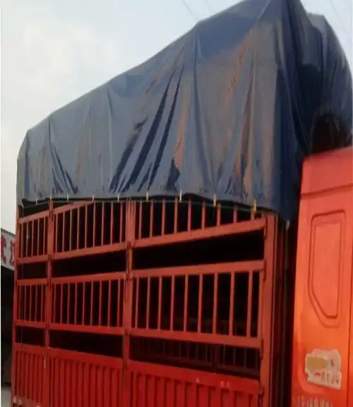 布兰格迪修补雨布胶水货车篷布修补专用胶水防雨布油布帆布刀刮布防水