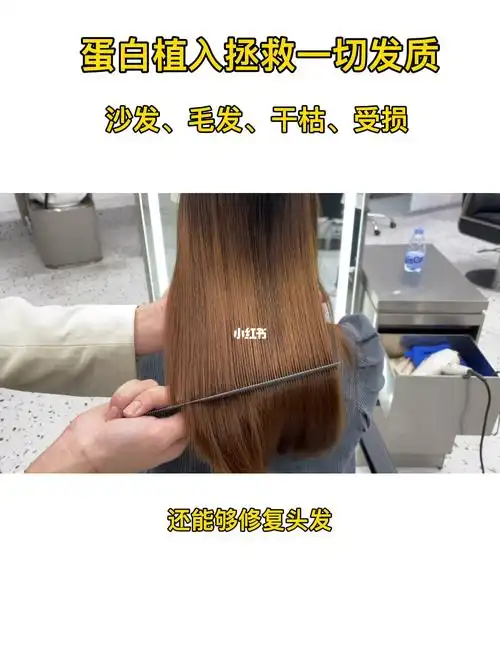 毛发蛋白矫正修复受损沙发自然卷