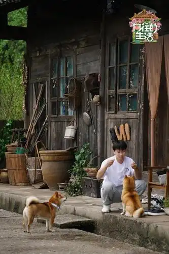 《向往的生活》第五季神秘嘉宾空降蘑菇屋,家人齐力垦新地