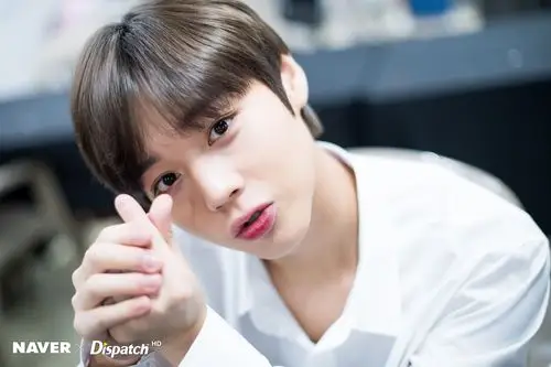 朴志训 parkjihoon wanna one