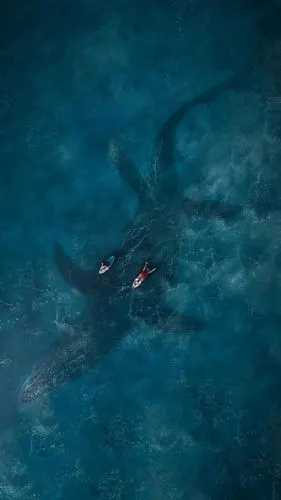 高清4k 大壁纸图片 喜欢拿走