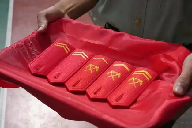 武警邵阳支队某部举行晋衔仪式|军衔|二十大代表风采_网易订阅