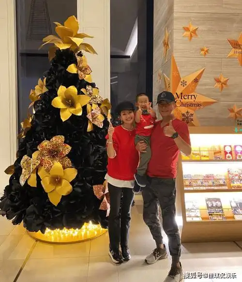 高曙光豪宅小聚,二婚娇妻扮嫩却翻车,气质和江珊差太多