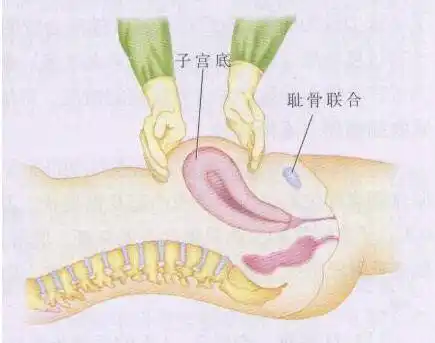 产后子宫恢复8大法!恢复得好的产妇都有这两个表现