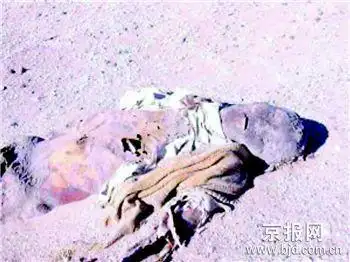 专家称此是炒作