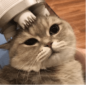 微信可爱聊天表情包|今晚能去你家吗