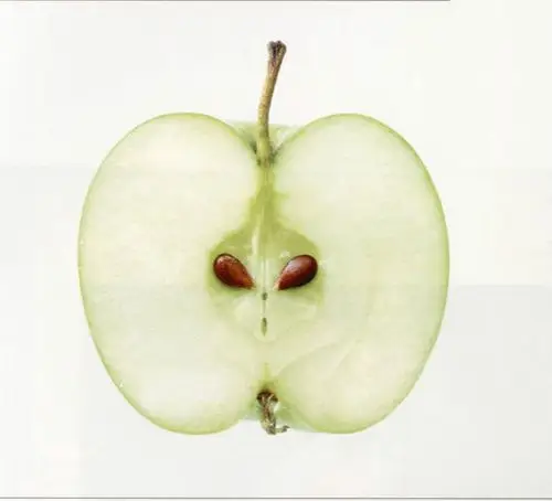 苹果纵切面是什么样的?