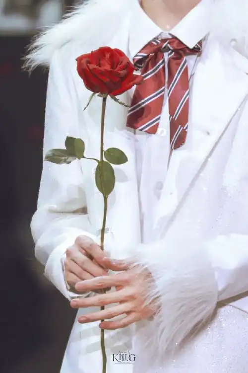 感知浪漫#「属于你的七支玫瑰」@时代少年团队长-马嘉祺