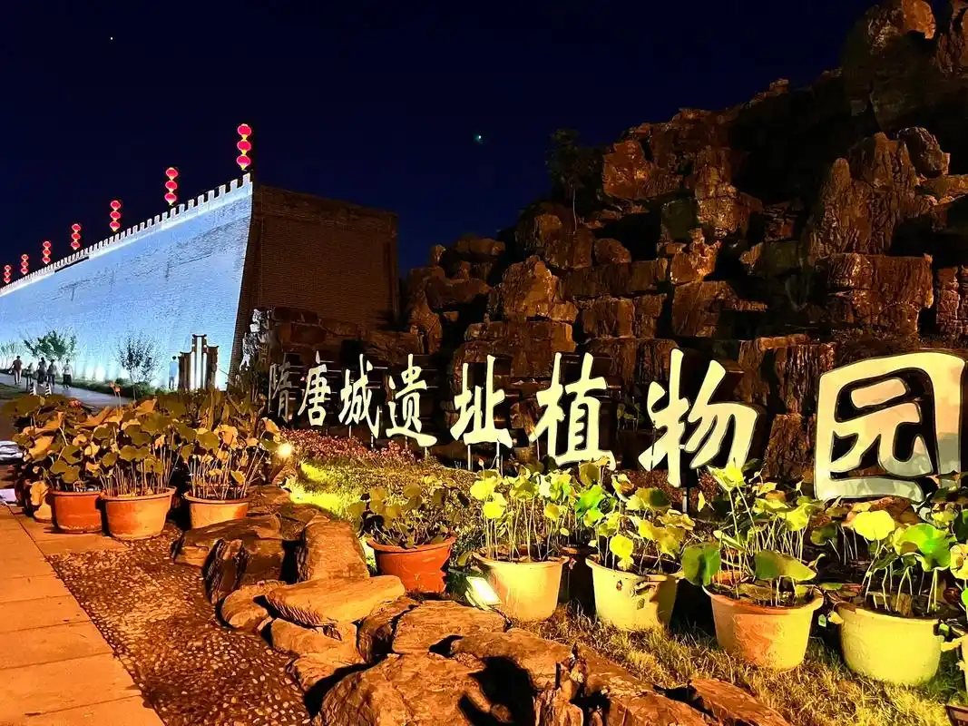 夏日洛阳遛娃好去处#打卡隋唐城遗址植物园,交通很便利,开车 - 抖音