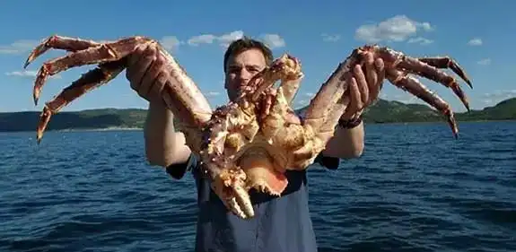 变异?盘点震撼世人的10大巨型动物