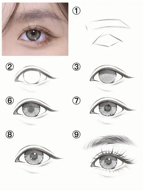 眼睛线稿画法含步骤讲解超简单