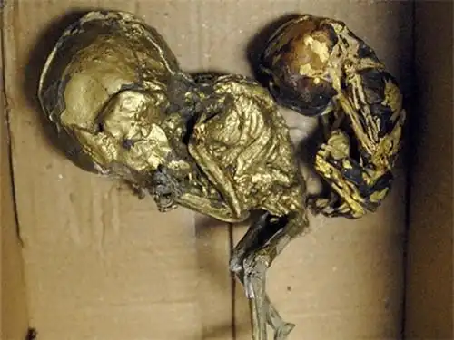 泰国十大真实灵异事件让人毛骨悚然信不信由你3