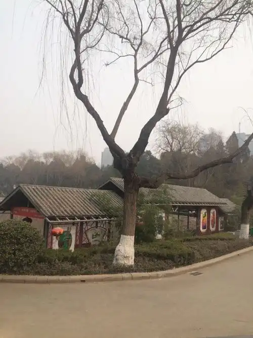 2019紫荆山公园_旅游攻略_门票_地址_游记点评,郑州旅游景点推荐 - 去