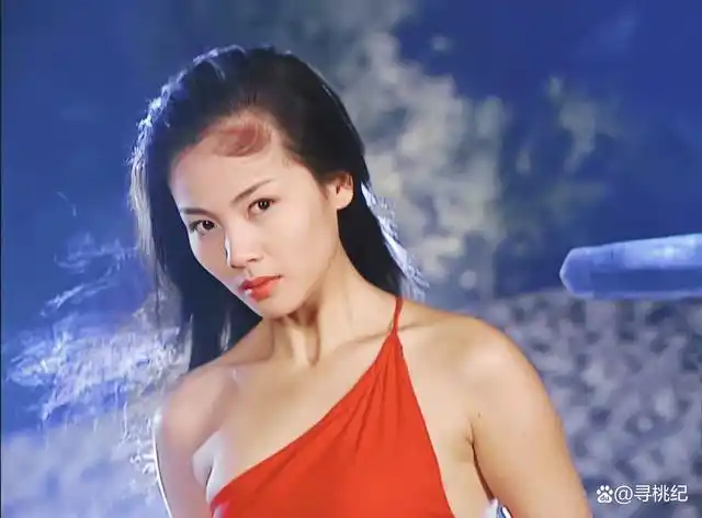一人千面|寻桃纪邀请你打开刘涛的角色万花筒