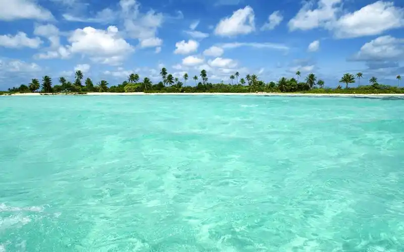 阳光明媚的沙滩