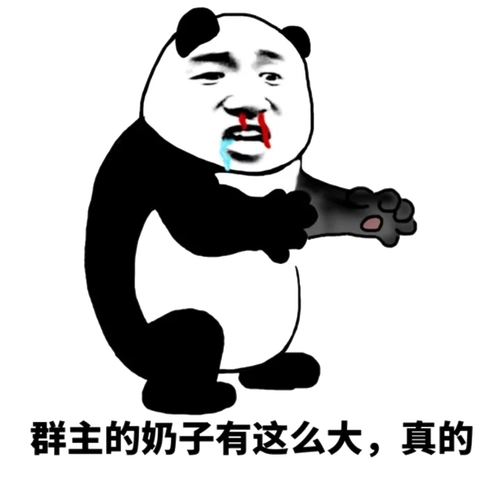 群主的奶子有这么大,真的1表情包 - 表情图