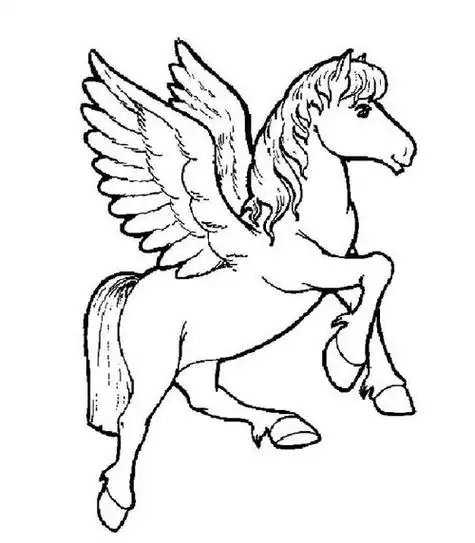 天宫骏马2简笔画--马儿童画教程一匹马的简笔画-帅气的骏马动物简笔画