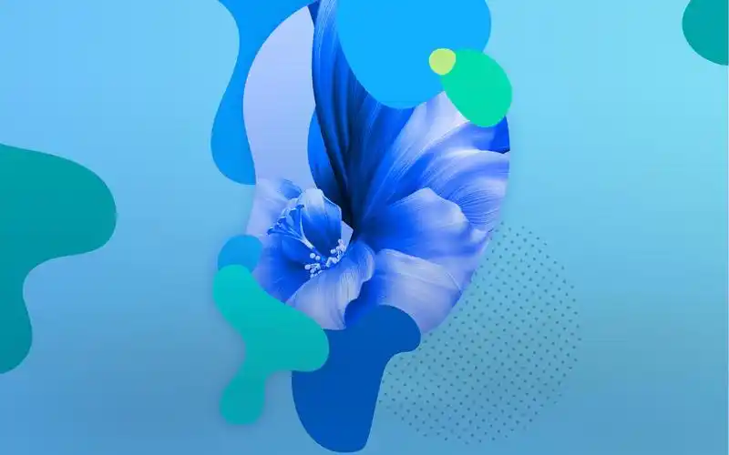 华为nova5官方内置壁纸