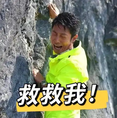 意难忘的停播综艺