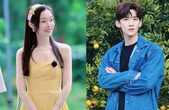 白敬亭唯一承认的女友是谁 和宋轶的恋情是真的吗官宣了吗差几岁-face