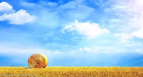 led 视频背景 视频素材 大屏幕播放 高清视频 视频剪辑 多媒体设计 源