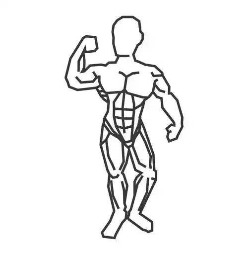 矢量的肌肉男插画