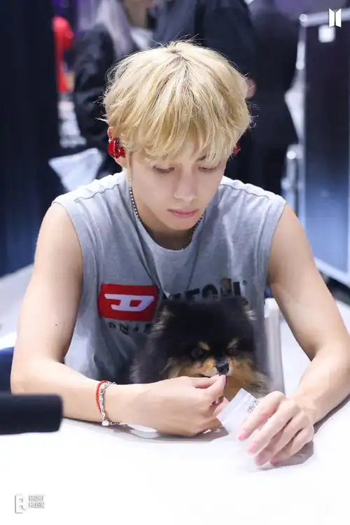 金泰亨#78#金泰亨solo#漂亮泰亨可爱泰亨大放送92part 2:收集