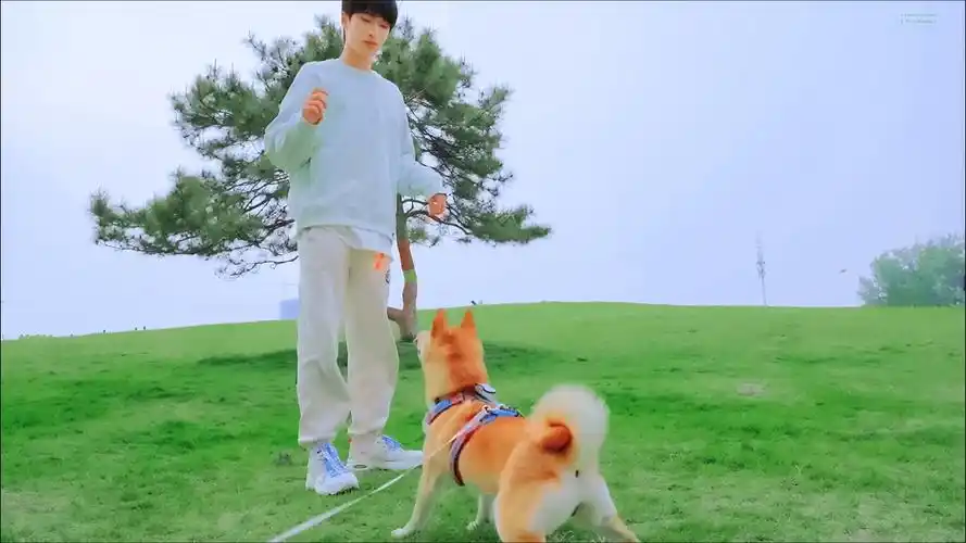 严浩翔 - 堆糖,美图壁纸兴趣社区