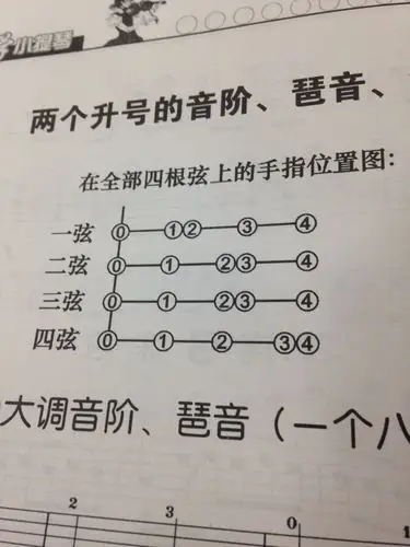 小提琴两个升号有哪些音,如下图各指位表示什么音(我要用调音器找音)